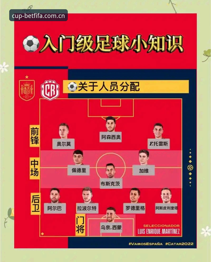 FIFA世界杯直播 FIFA世界杯直播新手入门指南:从购票到观赛的完整攻略